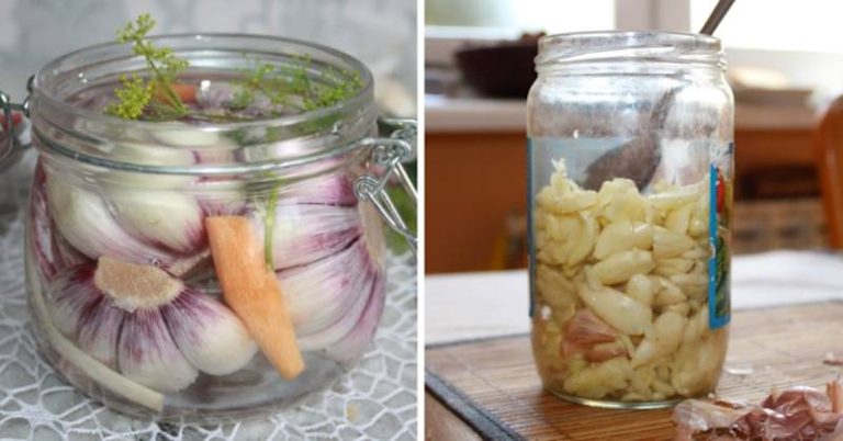 Siropul de usturoi - străbunicii noștri îl foloseau în multe afecțiuni. Poti sa-l prepari acasa.