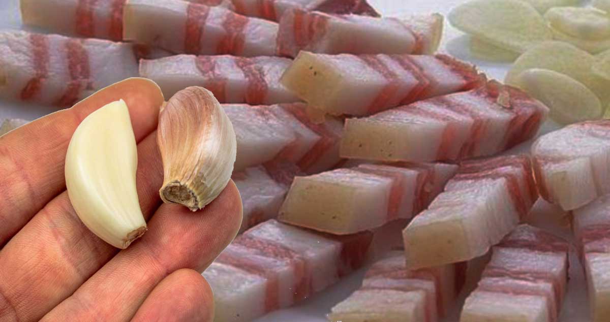 SLĂNINA de PORC ROMÂNESC - Este un ELIXIR pentru DURERILE ARTICULARE!