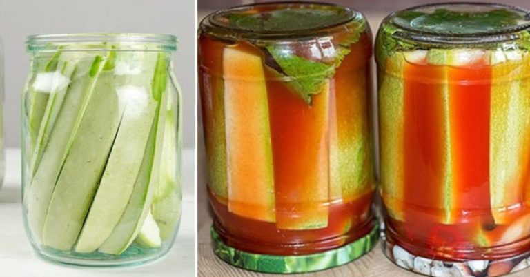 Dovlecei Marinați în Sos de Roșii