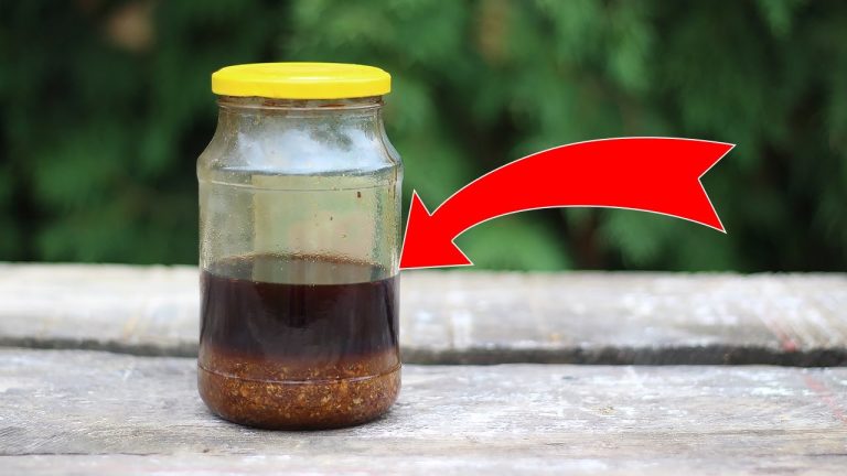 Tinctura de Propolis - Un remediu naturist puternic pentru gripă