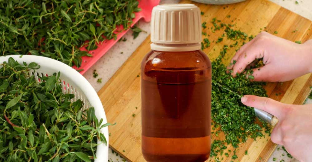 TINCTURĂ cu SILICIU: Tratează Bolile BĂTRÂNEȚII cu TROSCOT. Vezi Rețeta