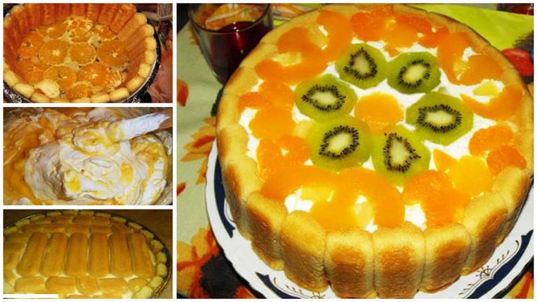 Tortul Diplomat - Ușor și Rapid. Cu Kiwi și Portocale