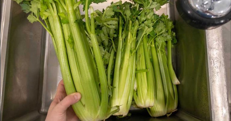 Ce se întâmplă cu corpul tău dacă mănânci zilnic tulpină de țelina?