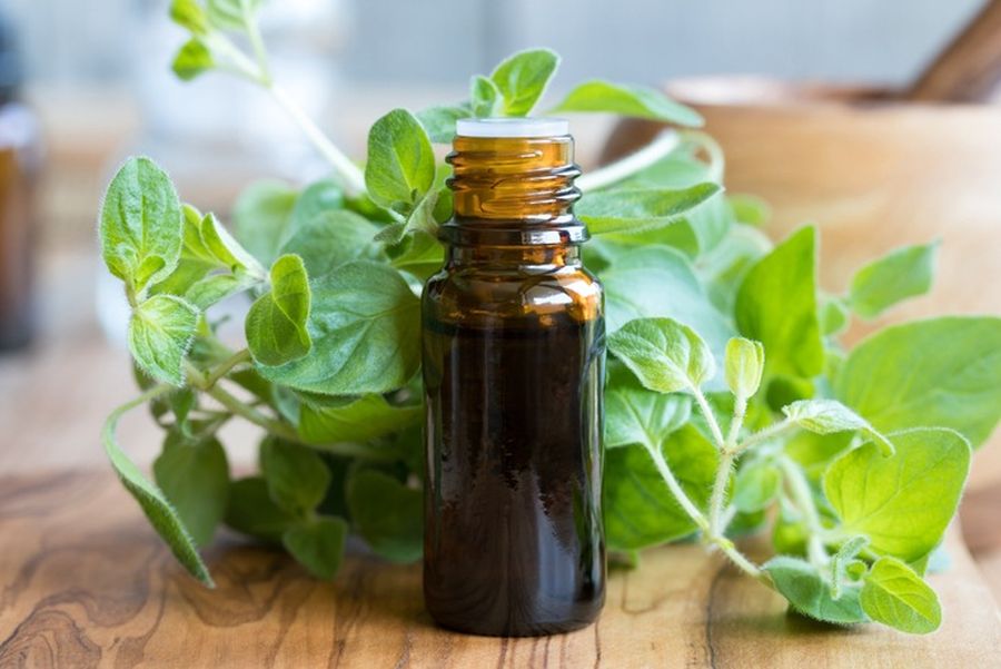 Uleiul de oregano - Remediu natural