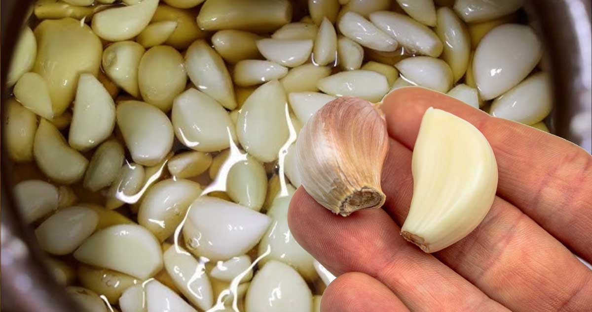 MACERAT de USTUROI - Rețeta Naturistă Pentru TRATAREA INFECȚTIILOR