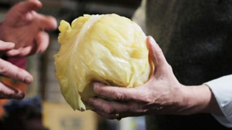 17 Proprietăți ale zemei de varză murată - O să o bei și tu după ce le vei citi